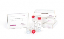 qPCRBIO Probe 1