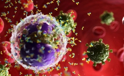 Coronavirus SARS-CoV-2 Rapid Antigen Near-Patient PoC Tests for COVID-19 - Buyer s Guide nbsp 