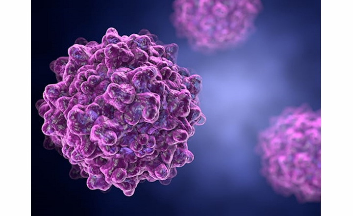 Ready-to-use Custom Adeno-Associated Virus&nbsp; &nbsp;