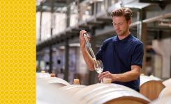 Wine Making