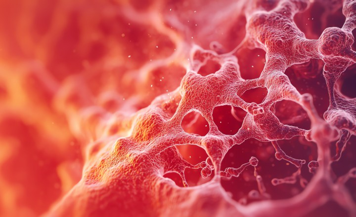 Probiotics in Action: Revolutionising Digestive Disease Treatment