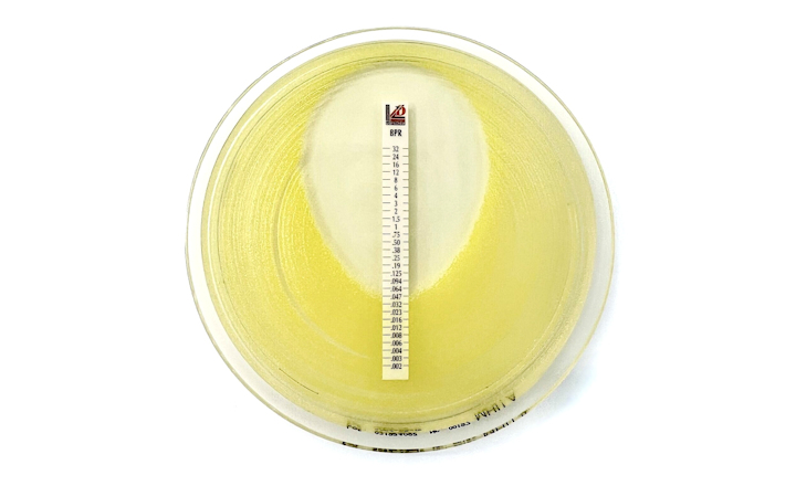 US FDA-cleared Ceftobiprole 0.002-32&mu;g/mL MTS&trade; (MIC Test Strip)
