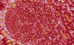 Sepsis Microbiome
