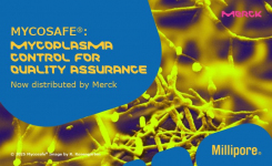 Mycosafe mycoplasma control for QA now distributed by Merck