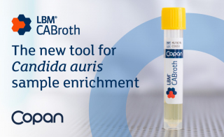 Introducing CABroth - Optimized Enrichment for <em>Candida auris</em>