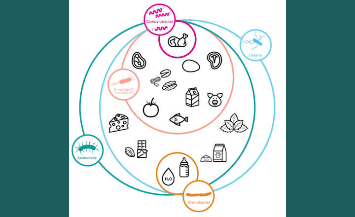 Biolog Lab Services Enters Food Safety Arena to Combat Pathogen Risks