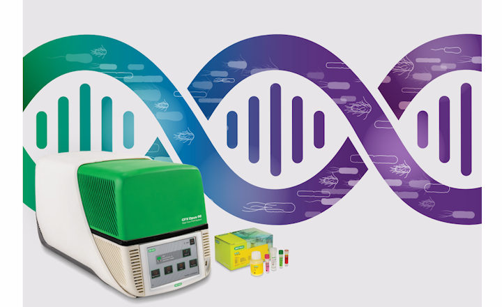 Bio-Rad&rsquo;s iQ-Check <em>Enterobacteriaceae</em> Kit Now MicroVal Validated for Infant Formula and Cereals