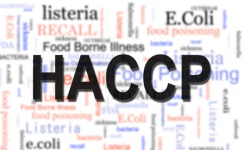 Estimating Salmonella Inactivation in Low Moisture Foods