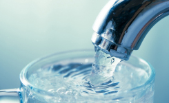 VBNC Pathogens in Potable Water