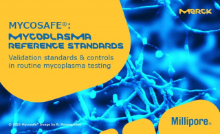Important Mycoplasma Updates European Pharmacopoeia Mycoplasma Chapter Update