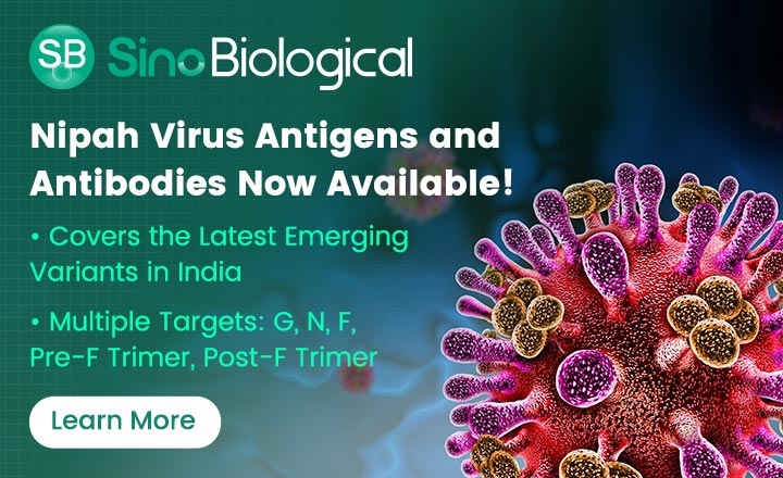 Nipah Virus