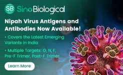 Nipah Virus