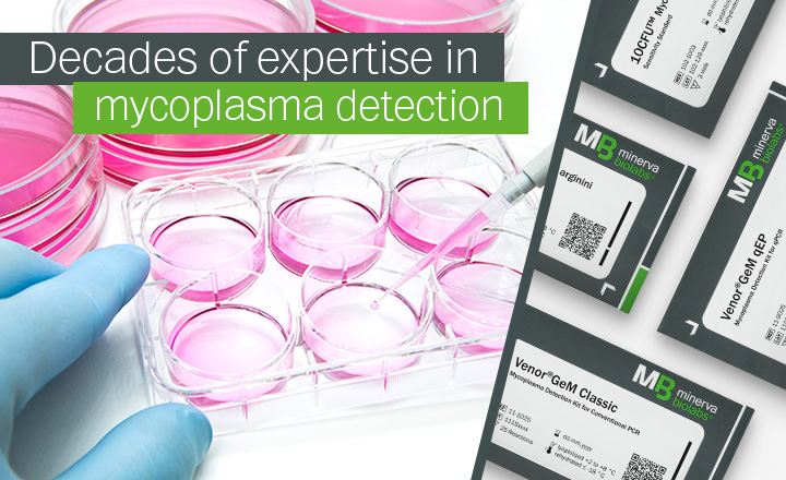 Unexplained Cell Culture Results? Hidden Mycoplasma Contamination Could Be the Cause &nbsp;