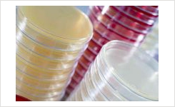 ISO 11133 2014 Compliant media