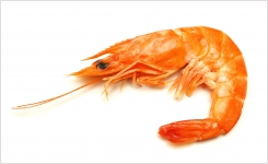 Allergen test kits