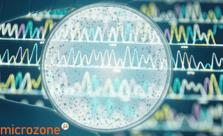 Simplify 16S Sequencing Workflows: Microzone's Eco-friendly Cell2Seq 16S rRNA Kit Has You Covered
