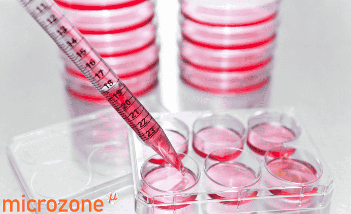 MycoDetect - Mycoplasma Detection Kit