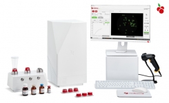 Sterility Testing in 4 Days
